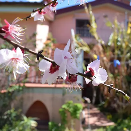 Arbatax, 200 Metres From The Beach: In With Garden, 2 Bedrooms 아파트 아르바탁스