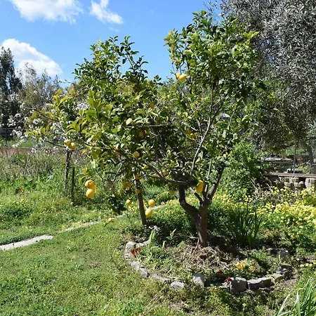 アパート Arbatax, 200 Metres From The Beach: In With Garden, 2 Bedrooms *